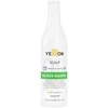 Alfaparf Geltonas Balance Šampūnas 500ml