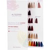 AlterEgo Professional palette of Technofruit dyes colors, small
