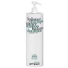 Artègo Easy Care T Balance Šampūnas šampūnas riebiai galvos odai, 1000 ml