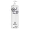 Artègo Easy Care T Clarity Šampūnas šampūnas nuo pleiskanų, 1000 ml