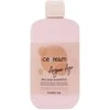 Inebrya Ice Kreminis Argan Age Pro-Age Šampūnas šampūnas su argano aliejumi, 300 ml