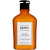 Depot 100 Hair Cleansing No. 101 Botanical Complex Hair Šampūnas Normalizing, 250 ml
