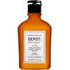 Depot No. 102 Botanical Complex Hair Šampūnas Nuo pleiskanų &amp; Sebum Control plaukų šampūnas vyrams, 250 ml