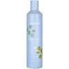 Echosline Balance Purifying Šampūnas giliai valantis šampūnas nuo pleiskanų, 300 ml