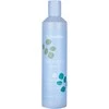 Echosline Balance+ Sebum Control Šampūnas šampūnas riebiems plaukams ir galvos odai, 300 ml