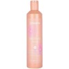 Echosline Discipline Minkštinantis ir glotninantis Smoothing Šampūnas glotninantis šampūnas nepaklusniems plaukams, 300 ml