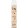 ECHOSLINE Echos LOOK Volumaster apimties suteikiantis plaukų lakas, 500 ml