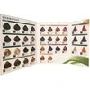 Herbatint Colour Palette Hairdresser's Template