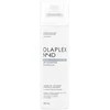 Olaplex Nº.4D Clean Volume Detox Sausas šampūnas detoksikuojantis sausas šampūnas, 250 ml