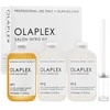 Olaplex Bond Multiplier No. 1 Salon Intro Kit Hair Serumas, 525 ml