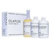 Olaplex Bond Multiplier No. 1 Salon Intro Kit Hair Serumas, 525 ml