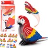 3D kartoninė dėlionė – papūga Ara, 24 d.