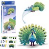 3D kartoninė dėlionė – spalvingas povas, 18 d.