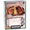 Archeologinis kasinėjimų rinkinys "Paleontology"