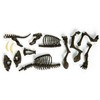 Archeologo rinkinys Dantytasis tigras