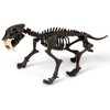 Archeologo rinkinys Dantytasis tigras