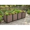 Augalų dėžė GROW BOX PLUS XL, 164x41x45 cm