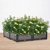 Augalų dėžė GROW CUBE L, 82x82x17 cm
