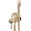 Bidė dušelis REA Lungo Loop, Brushed Gold