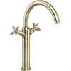 Deante praustuvo maišytuvas su klik-klak Temisto BQT M25D, brass