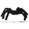 Dekoratyvinis pūkuotas voras, 45 cm