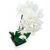 Dirbtinė orchidėja su vazonu, 55cm