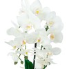 Dirbtinė orchidėja su vazonu, 55cm