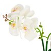 Dirbtinė orchidėja vazone, 1 vnt.