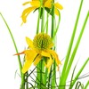 Dirbtinė rudbekija vazone, 50 cm
