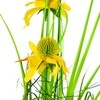 Dirbtinė rudbekija vazone, 50 cm