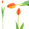 Dirbtinė tulpė, 1 vnt., oranžinė