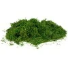 Dirbtinės samanos, 30 g