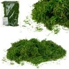 Dirbtinės samanos, 30 g