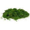 Dirbtinės samanos, 30 g