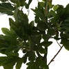 Dirbtinis augalas Figmedis, 160 cm