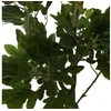 Dirbtinis augalas Figmedis, 180 cm