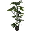 Dirbtinis augalas Filodendras, 180 cm