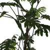 Dirbtinis augalas Filodendras, 210 cm