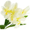Dirbtinis augalas Irisas, 7 vnt, baltas