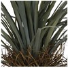 Dirbtinis augalas Juka, 160 cm