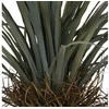 Dirbtinis augalas Juka, 160 cm