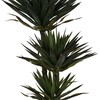 Dirbtinis augalas Juka, 170 cm