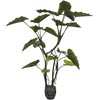 Dirbtinis augalas Kolokazija, 160 cm