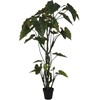 Dirbtinis augalas Kolokazija, 220 cm