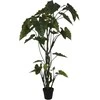 Dirbtinis augalas Kolokazija, 220 cm
