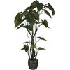 Dirbtinis augalas Kolokazija, 220 cm