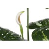 Dirbtinis augalas Monstera, 170 cm