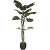 Dirbtinis augalas Monstera, 180 cm