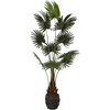Dirbtinis augalas Palmė, 180 cm