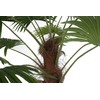Dirbtinis augalas Palmė, 200 cm